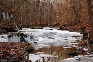 things to do in lexington ky