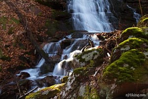 Worthington State Forest Waterfall / Laurel Falls