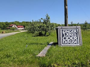 things to do in finger lakes
