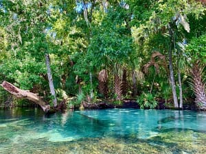 springs in florida