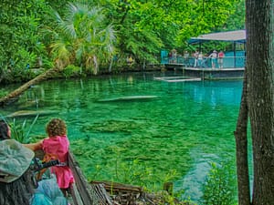 springs in florida