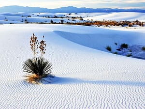 white sands desert 1