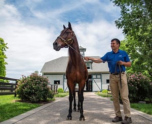 things to do in lexington ky